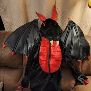 Dragon costume